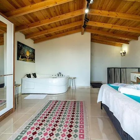 Kaskalkandenizmanzaralivilla Villa